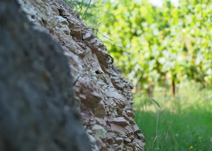 Azienda Agricola Ca\' Lunga