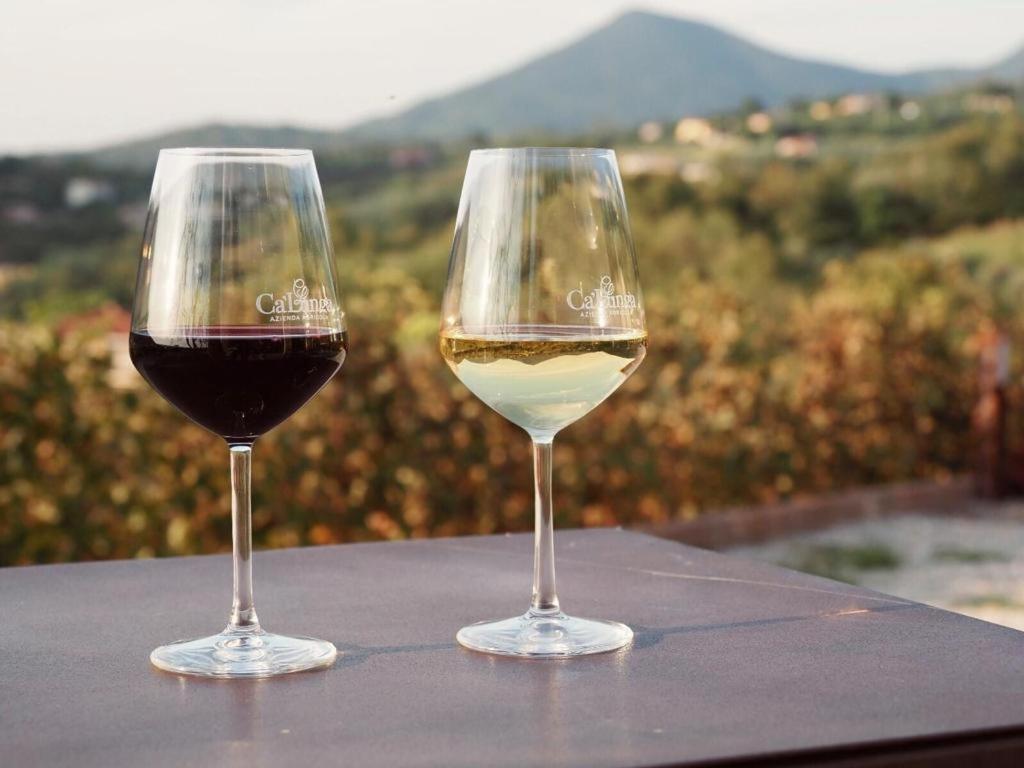 Azienda Agricola Ca' Lunga Cinto Euganeo