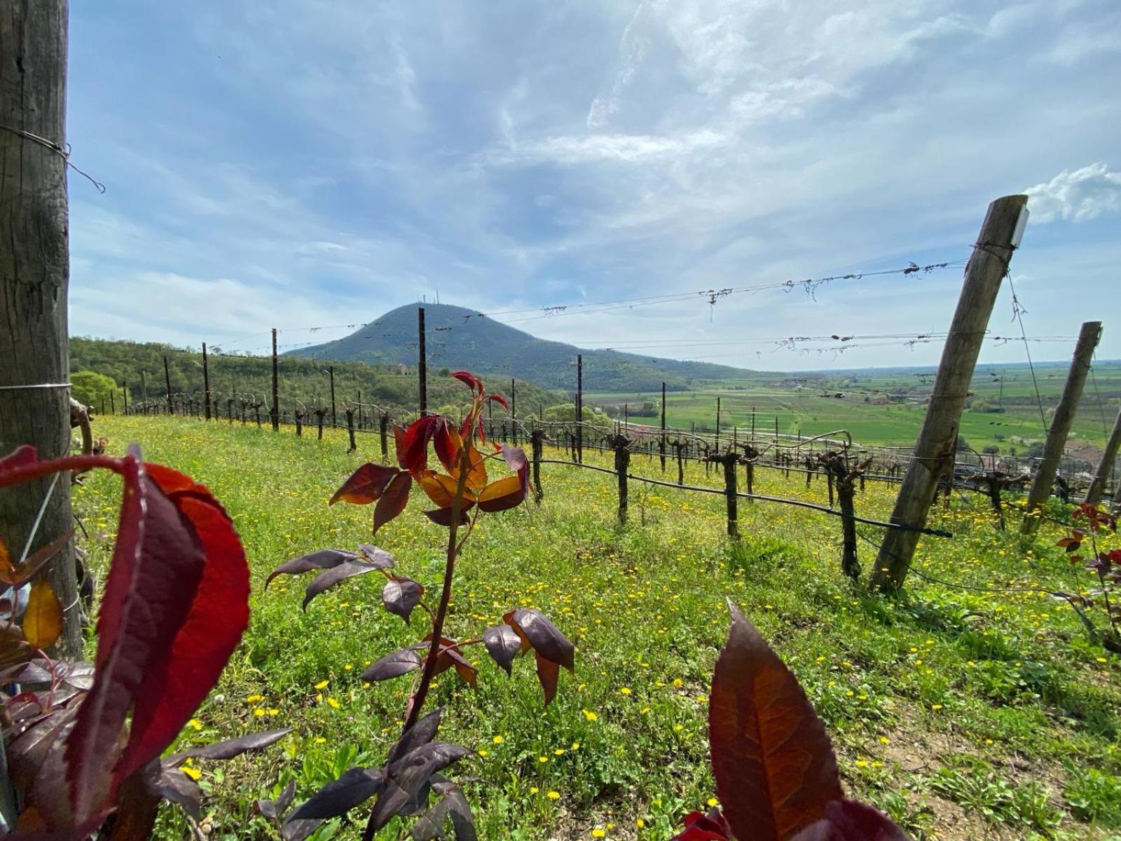 Azienda Agricola Ca' Lunga Farm stay *