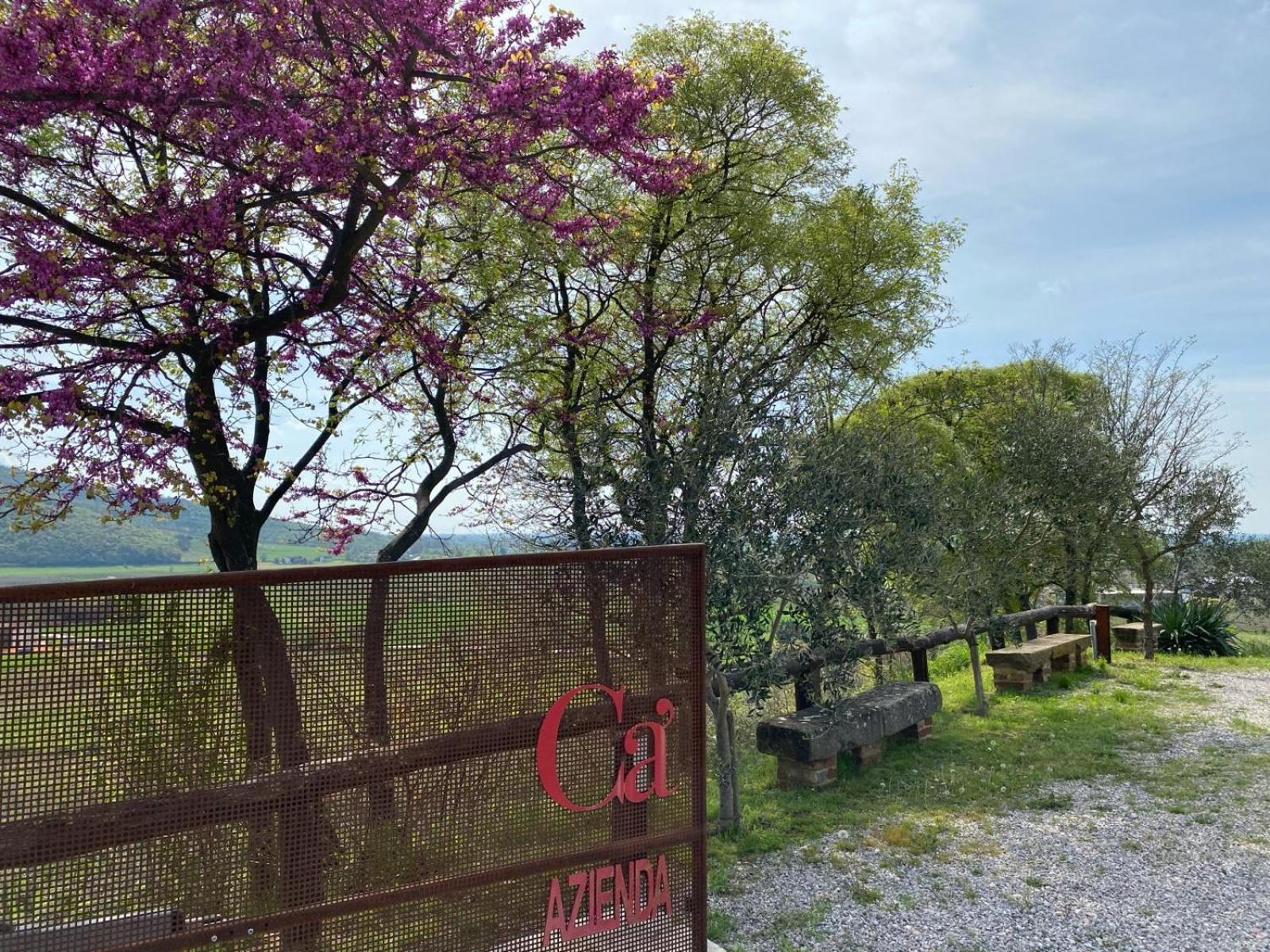 Farm stay Azienda Agricola Ca' Lunga