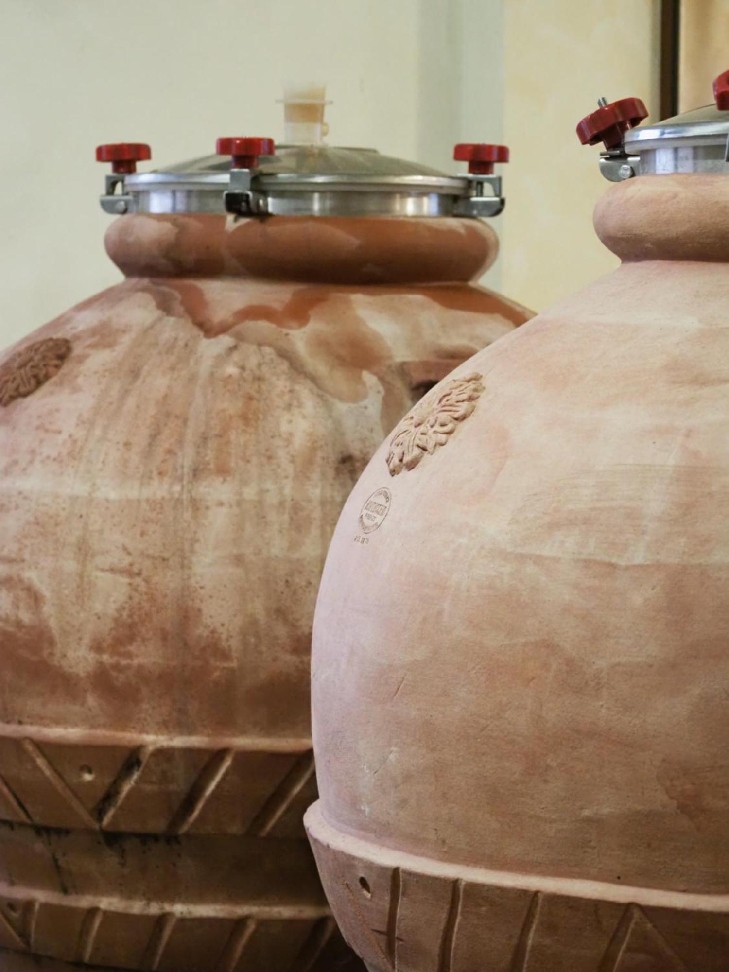 Azienda Agricola Ca' Lunga * Cinto Euganeo